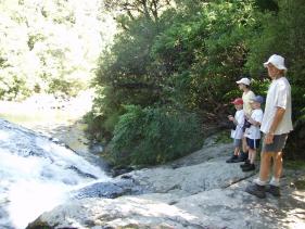 Aniwaniwa - Aniwaniwa Falls Track 2