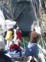 Bij de Maori rock carvings