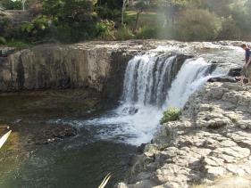 Haruru Falls Track 2