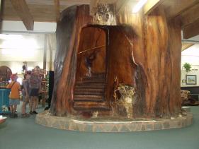 De beroemde trap in het Kauri Kingdom