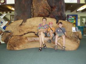 Een bank uit Kaurihout