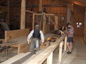 bomenzaag met karretje