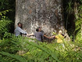 Kauriboom met Jules, Tom en Jasper