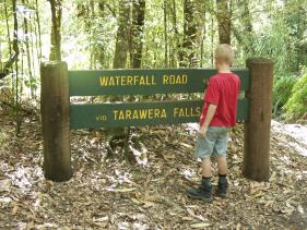 Lake Tarawera - Waterfall walk