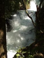 Lake Tarawera - Waterfall