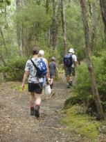 Lake Tarawera - Walk back