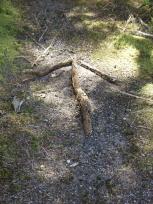 Lake Tarawera - Speurtocht naar de Simming Hole