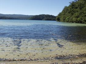 Lake Waikareiti 2