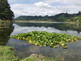 Lake Whakamaru