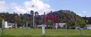 palen voor het Maori grasveld (Marae)