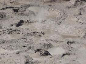 Rotorua - Te Puia - modderpoel