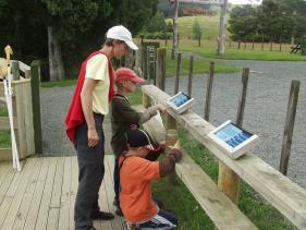 Insekten opvissen...