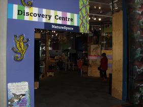 Wellington - Te Papa 2