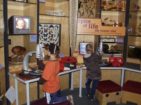 Wellington - Te Papa 3