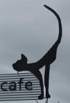 Tirau - alley cat caf&eacute;