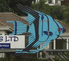 Tirau - aquariumhandel