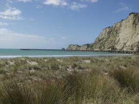 Tolaga Bay - Tolaga Bay Wharf (pier)