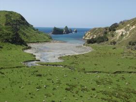 Tolaga_Bay - Cook's Cave 1