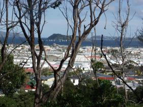 Lower Hutt - Percys Reserve 3