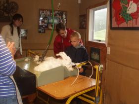 Waitomo - Shearing Shed 2