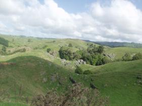 Waitomo - het landschap bovengronds