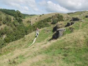 Waitomo - het landschap bovengronds