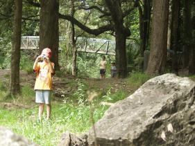 Whangarei - waterval 8