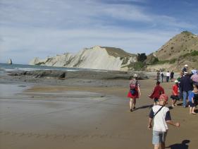 Gannets - Jan-van-Genten 5