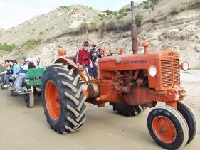 Gannets - Jan-van-Genten 7