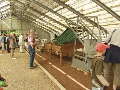 kiwi sorteermachine 1