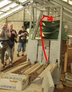 kiwi sorteermachine 2