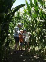 in het mais-doolhof 2