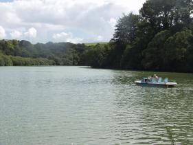 de waterfiets bij de Haruru Falls